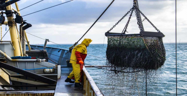 Balıkçılık Teknolojisi Mühendisliği DGS 2022 taban puanları ve bölüm kontenjanları