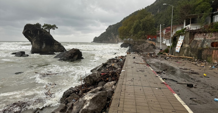 Bartın İnkumu Sahilinde Doğal Afet Sonrası Kirlilik Sorunu