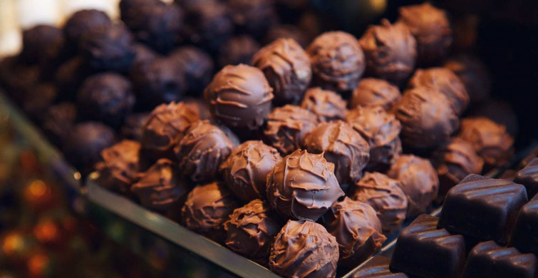 Bayram çikolatalarında da salmonella virüsü olabilir mi? Bayram çikolatalarına dikkat!