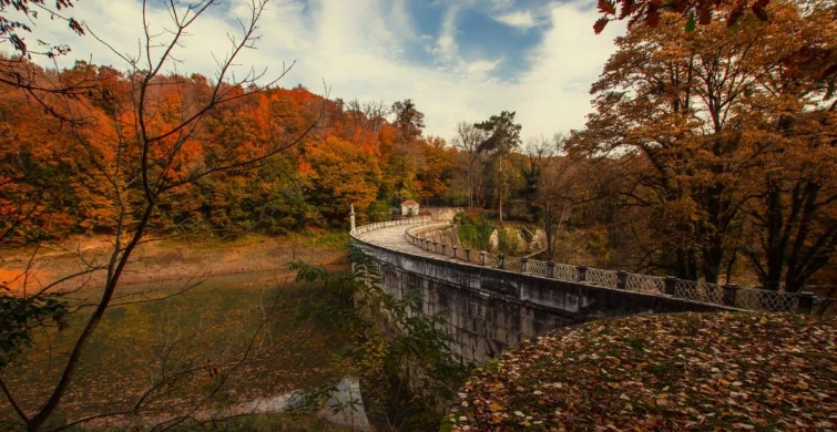 Belgrad Ormanı imara açılıyor