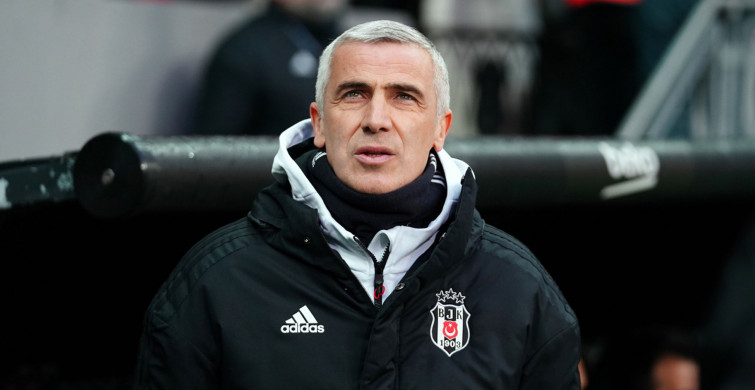 Beşiktaş'ta teknik direktörlük görevinden ayrılan Önder Karaveli, Şenol Güneş ile yaşadıkları diyalog hakkında konuştu! Kendisine kırgın olmadığını söyledi