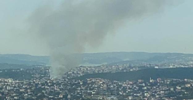 Beykoz Anadolu Hisarı'nda Yangın