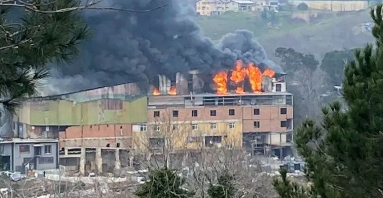 Beykoz’da korkutan yangın: Tüm ekipler seferber oldu!