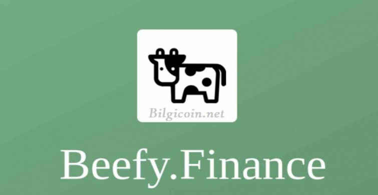 BIFI coin nedir? Beefy Finance coin projesi ve yol haritası