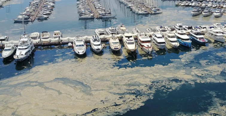 Bilim-2 Gemisi Marmara'da Gezilmedik Yer Bırakmadı! İşte İstanbul Boğaz'daki En Pis 5 Bölge