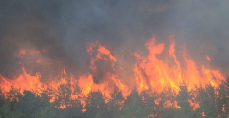 Çanakkale'de Korkutan Orman Yangını! 