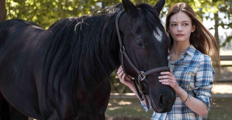 Black Beauty film konusu ve oyuncuları