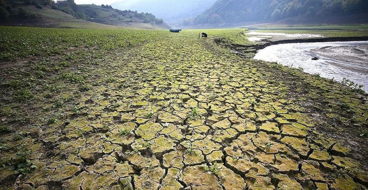 BM IPCC raporu yayımlandı! Binlerce insan tehlikede, iklim uyum yatırımlarının hızlandırılması gerekiyor!