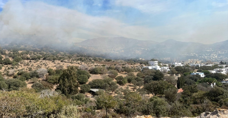 Bodrum'da 5 Hektar Makilik Alan Zarar Gördü