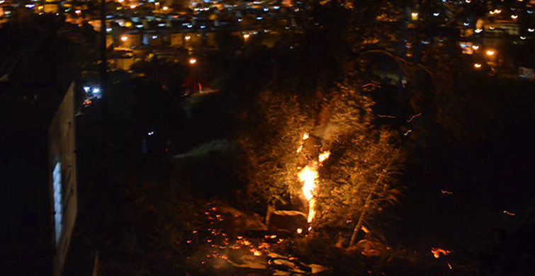 Bodrum'da Makilik Alanda Yangın Çıktı