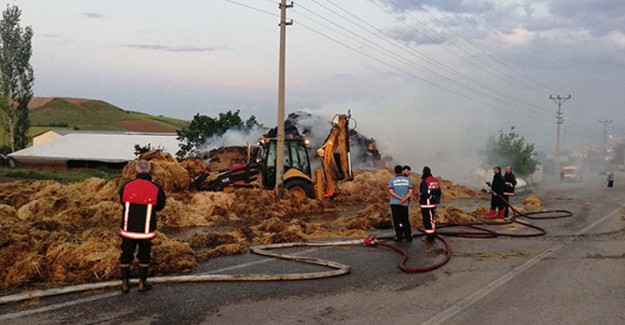 Bodrum'daki Orman Yangını Kontrol Altına Alındı