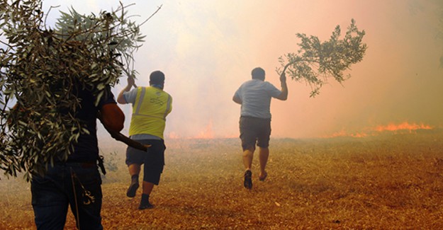Bodrum'daki Orman Yangını Tehlikeli Hale Geldi