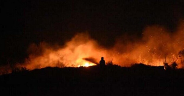 Bodrum'daki Yangınlar Kontrol Altına Alındı