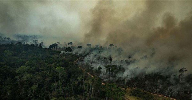 Bolivya Orman Yangınları İçin Uluslararası Yardım İstiyor