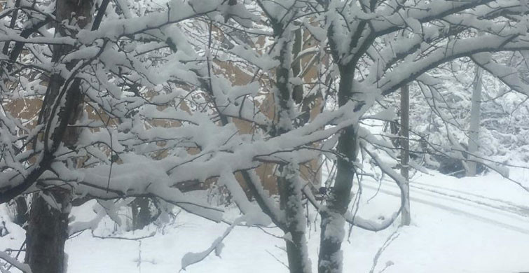 Bolu Dağı'nda Kar Kalınlığı 35 Santimetreye Ulaştı