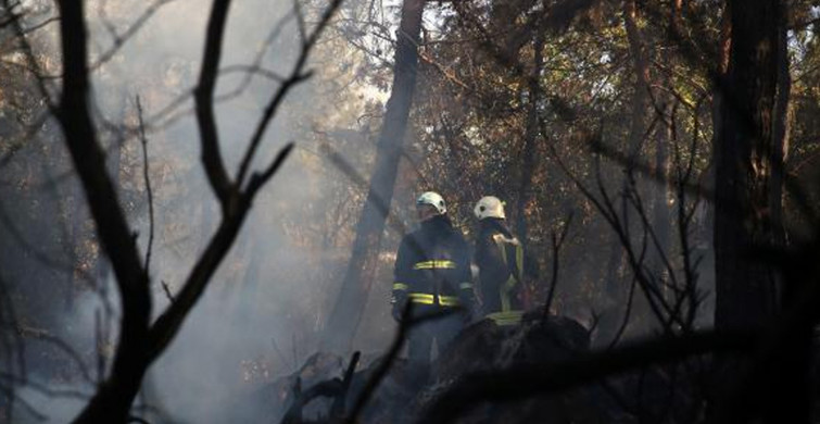 Bolu'da Çıkan Orman Yangını 14 Saatte Söndürüldü