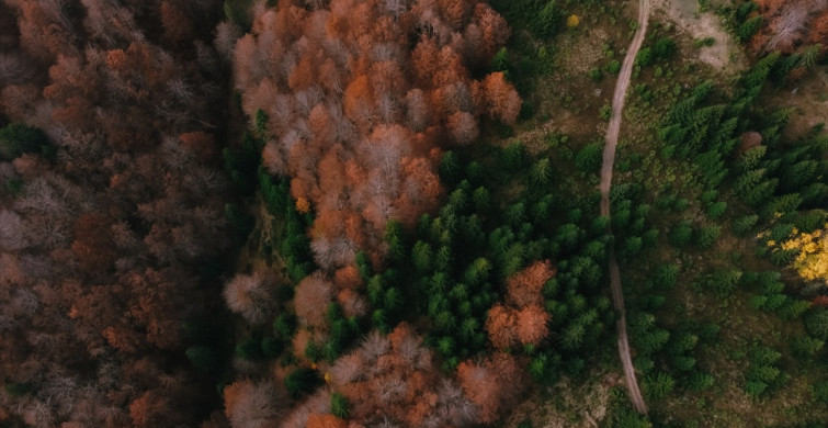 Bosna Hersek'te Sonbahar Renklerine Yolculuk