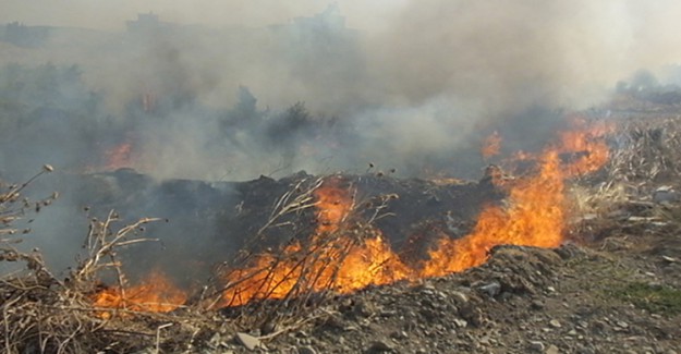 Burhaniye' de Çalılık Yangını Büyük Paniğe Neden Oldu