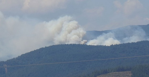 Bursa'da Korkutan Orman Yangını