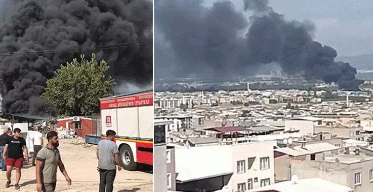 Bursa'da Korkutan Yangın: Kısa Sürede Büyüdü!