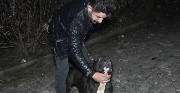 Bursa'da Tecavüz Girişiminde Bulunan Adamı 'Karlos Köpek' Yakaladı