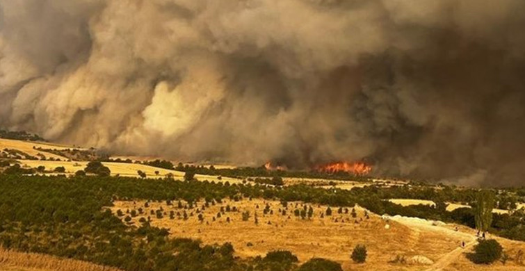 Çanakkale yangınında son durum: 4 bin 80 hektarlık alan etkilendi