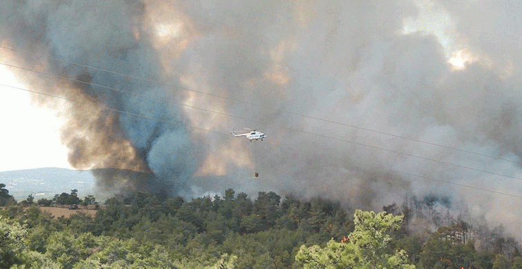 Çanakkale'de Yangın