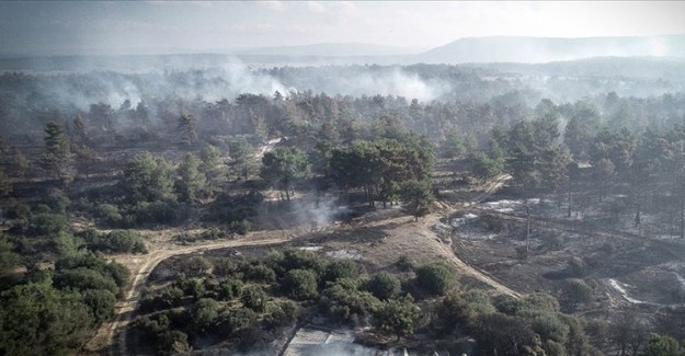 Çanakkale'deki Orman Yangını Söndürüldü