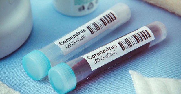 Cezayir'de Coronavirüse Yakalanan Kişi Sayısı 19’a Çıktı