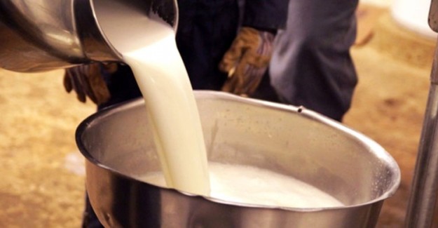 Çiğ Süt ile Manda-Malak Yardımları Bugün Ödenecek