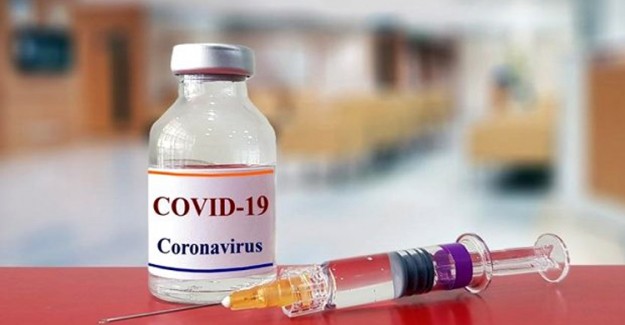 Çin Hayvanlar Üzerinde Coronavirüs Aşısı Deniyor