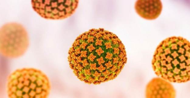 Çin'de Yeni Virüs Görüldü! Bunyavirüs Nedir, Belirtileri Nelerdir?