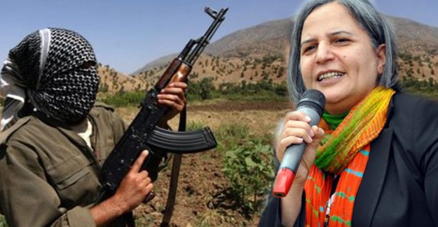 Çok Çarpıcı İddia: PKK Kışanak'ı Öldürebilir