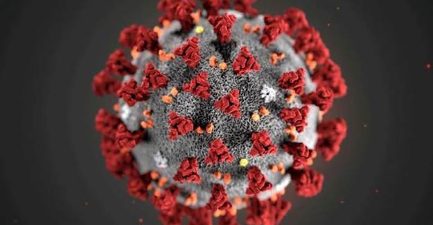 Coronavirüs, Çin'den 9 Ay Önce İspanya’da Görüldü