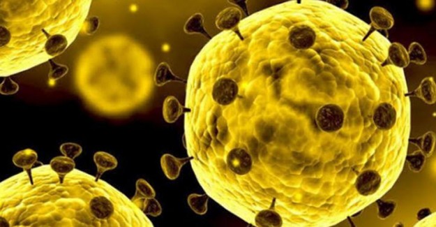 Coronavirüs İçin Korkutan Senaryo! 68 Milyon İnsan Ölebilir