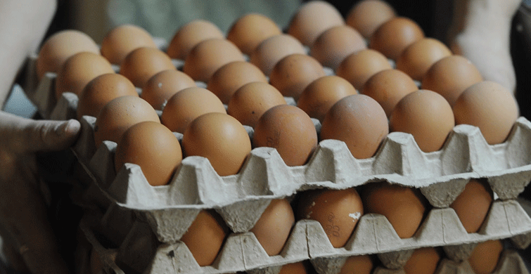 Coronavirüs Sebebiyle Sınırda Bekletilen 150 Tır Yumurtaya Çözüm Arayışı