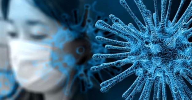 Coronavirüsü Testi Nerede Yapılır? Coronavirüsü Test Kiti Nedir?