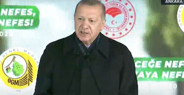 Cumhurbaşkanı Erdoğan: 14 Milyon Fidan Diktik