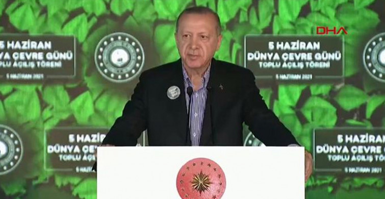 Cumhurbaşkanı Erdoğan Talimat Verdi! Marmara'daki Bu Beladan Kurtulacağız