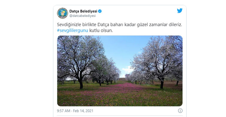 Datça Belediyesi Tweetini NFT İle Satıyor