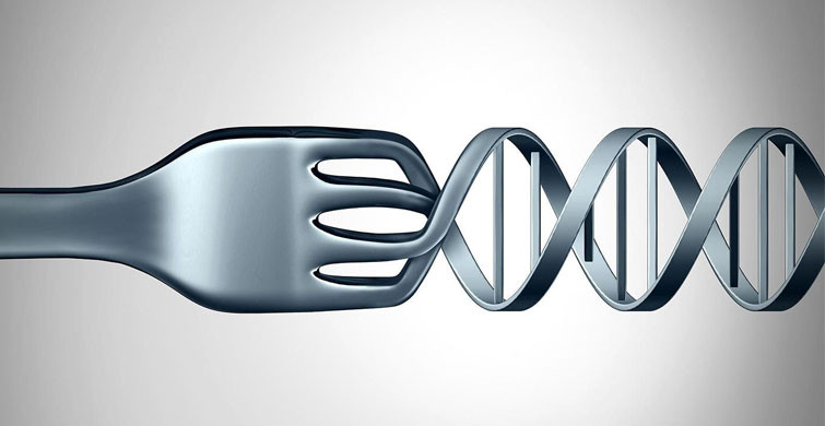 DNA Diyeti Nedir?