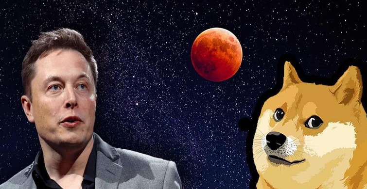 Dogecoin Değer Kaybediyor!