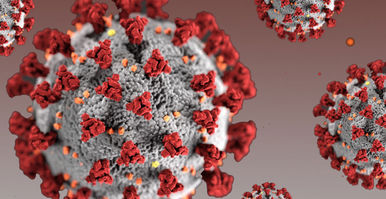 DSÖ'den Açıklama: Koronavirüs Ne Zaman Bitecek?