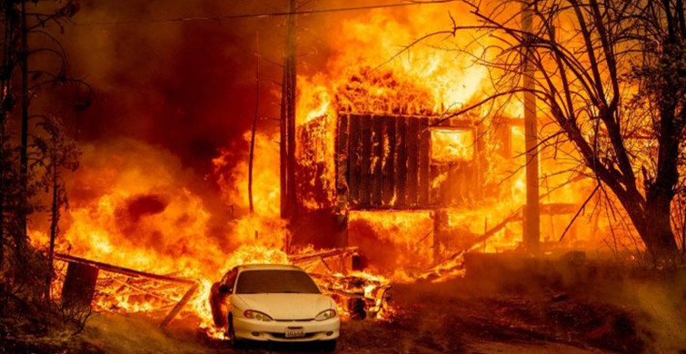 Dünya Kül Oluyor! Akdeniz Ülkeleri ve Amerika'da Yangınlar Büyüyor