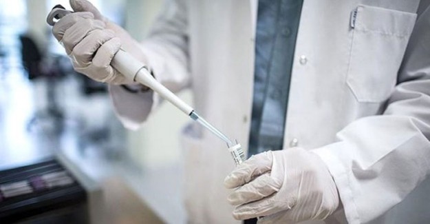 Dünya Sağlık Örgütü'nden Aşı Müjdesi! İnsanlı Teste Başlandı