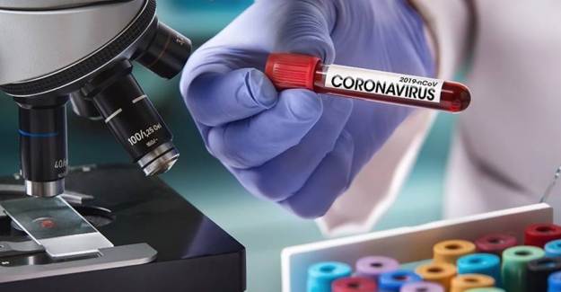 Dünyada Coronavirüsü Yenen Kişi Sayısı 4,5 Milyonu Geçti