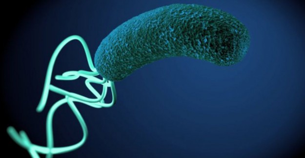 Dünyanın En Yaygın Enfeksiyonu Helicobacter Pylori, Nefes Testiyle Tespit Ediliyor.