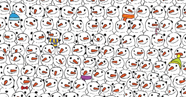 Dünyayı İkiye Bölen Bulmaca: Panda Nerede