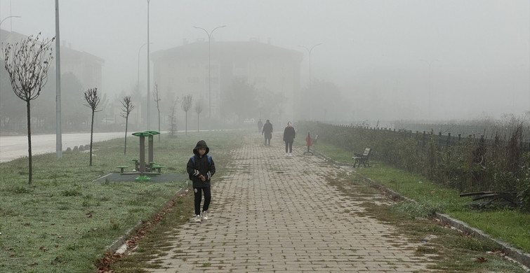 Düzce'de Görüş Mesafesini Düşüren Sis Etkili Oldu