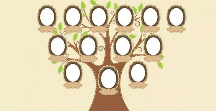 e-Devlet Soy Ağacı Nasıl Sorgulanır?